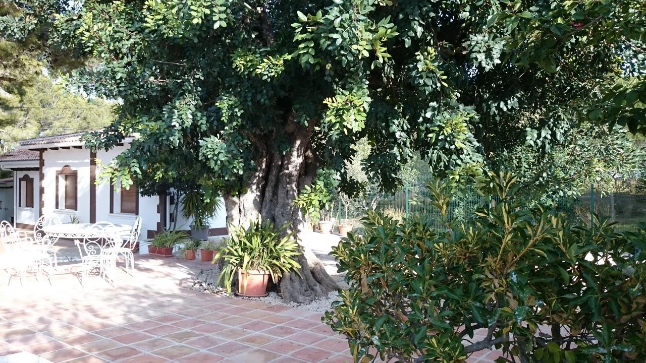 דניה Villa Chabola מראה חיצוני תמונה