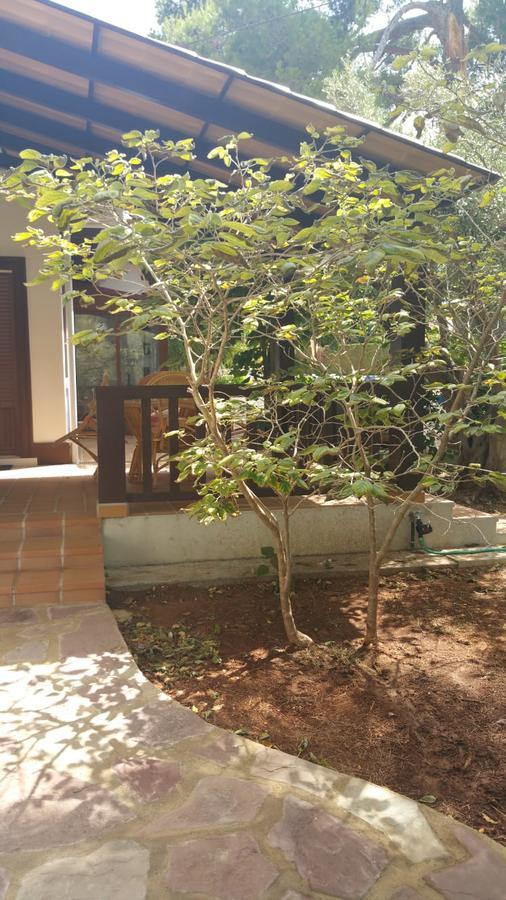 דניה Villa Chabola מראה חיצוני תמונה