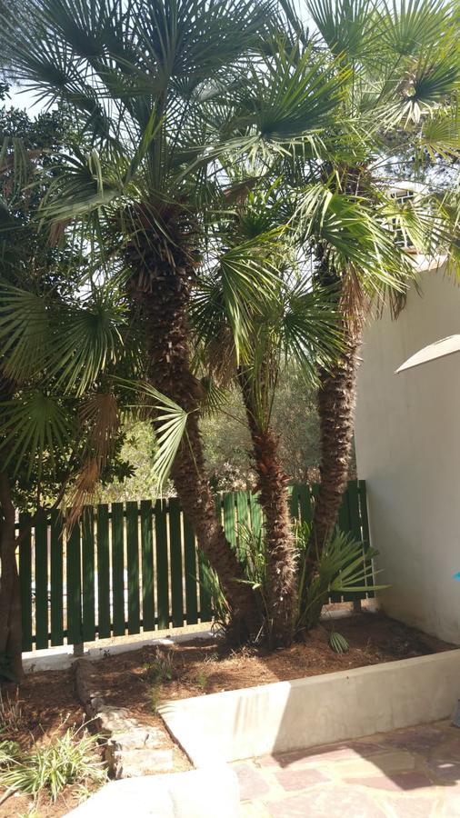 דניה Villa Chabola מראה חיצוני תמונה