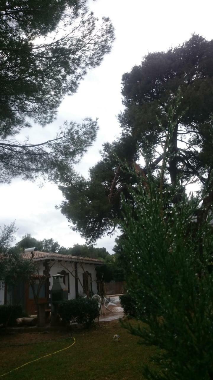 דניה Villa Chabola מראה חיצוני תמונה
