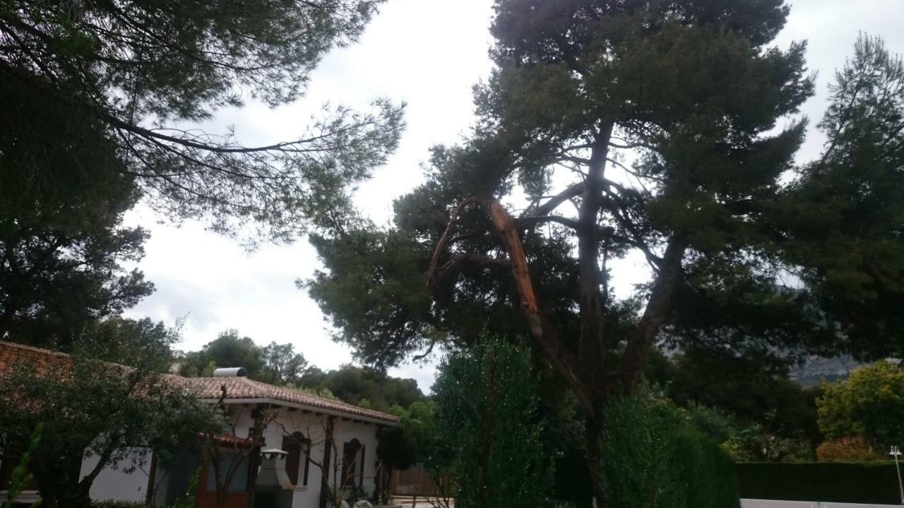 דניה Villa Chabola מראה חיצוני תמונה