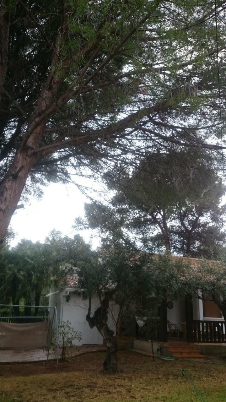 דניה Villa Chabola מראה חיצוני תמונה